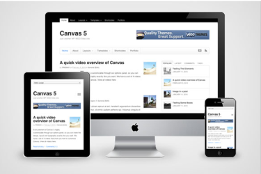 Canvas v5.12.0 - Woothemes WordPress 主题
