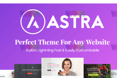 Astra Pro Addon v4.6.8