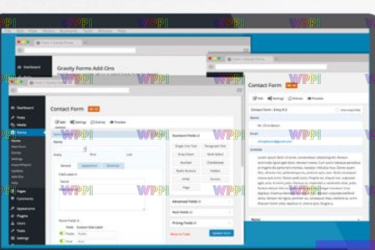 Gravity Forms v2.8.16