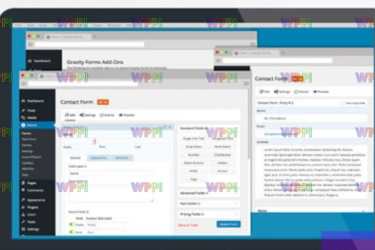 Gravity Forms v2.8.18