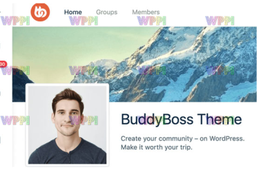 BuddyBoss Theme v2.7.00 汉化语言包