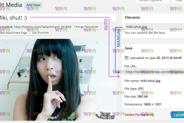 Media File Renamer Pro v6.0.2