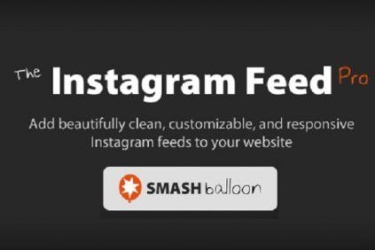 Custom Instagram Feed Pro Developer - v6.2.4