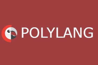 Polylang Pro Multilingual WordPress Plugin - v3.4.1