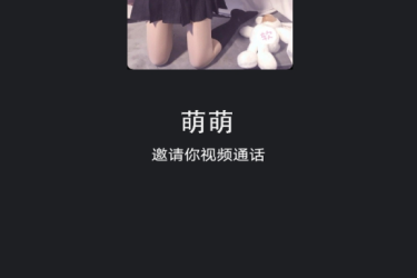 2023 新版视频通话照妖镜 多模板