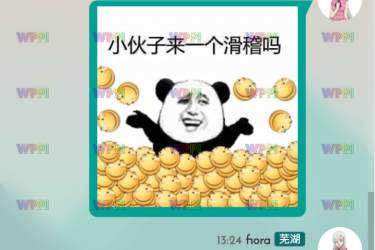 Fiora 二次元的 Web 多人在线网络聊天系统源码