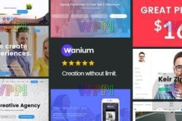 Wanium v1.6.1 一个优雅的多概念主题