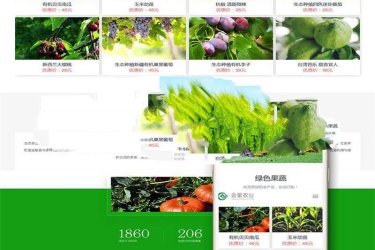 响应式生态水果蔬菜商城网站模板(自适应手机移动端)